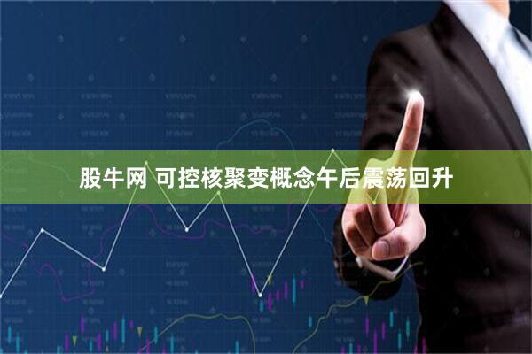 股牛网 可控核聚变概念午后震荡回升