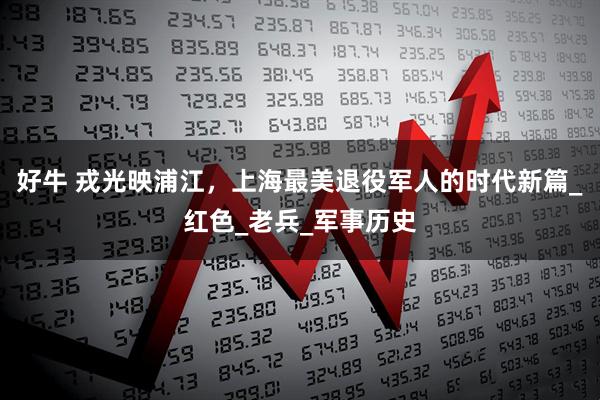 好牛 戎光映浦江，上海最美退役军人的时代新篇_红色_老兵_军事历史