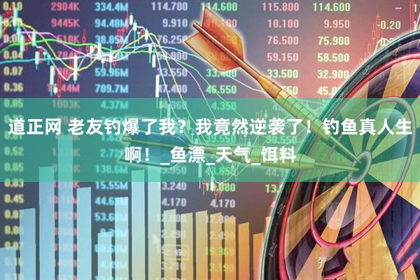 道正网 老友钓爆了我？我竟然逆袭了！钓鱼真人生啊！_鱼漂_天气_饵料