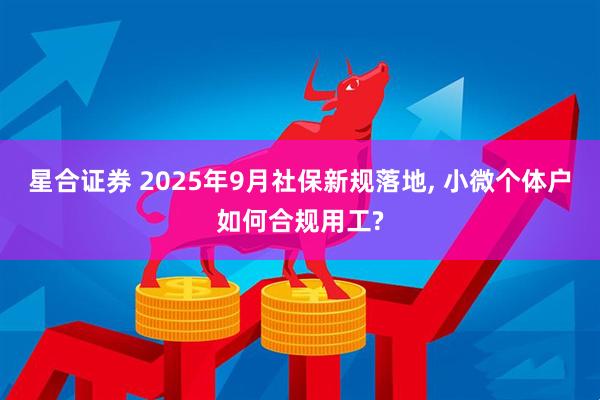 星合证券 2025年9月社保新规落地, 小微个体户如何合规用工?