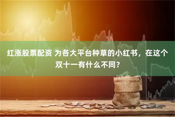 红涨股票配资 为各大平台种草的小红书，在这个双十一有什么不同？
