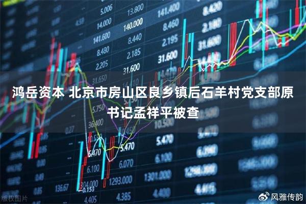 鸿岳资本 北京市房山区良乡镇后石羊村党支部原书记孟祥平被查