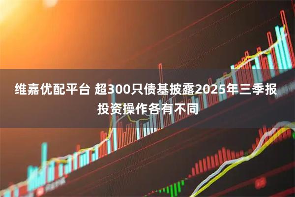 维嘉优配平台 超300只债基披露2025年三季报 投资操作各有不同