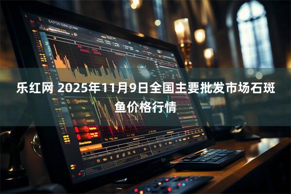 乐红网 2025年11月9日全国主要批发市场石斑鱼价格行情