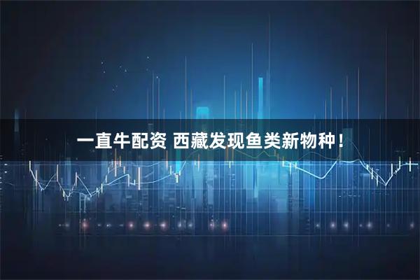 一直牛配资 西藏发现鱼类新物种！